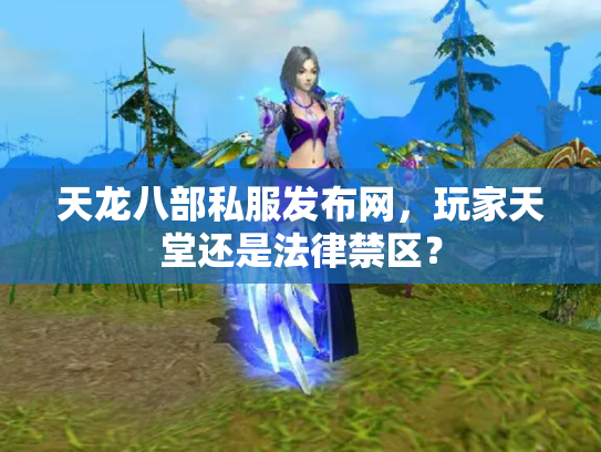 天龙八部私服发布网，玩家天堂还是法律禁区？