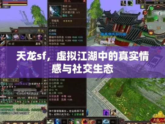 天龙sf，虚拟江湖中的真实情感与社交生态