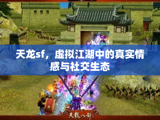 天龙sf，虚拟江湖中的真实情感与社交生态