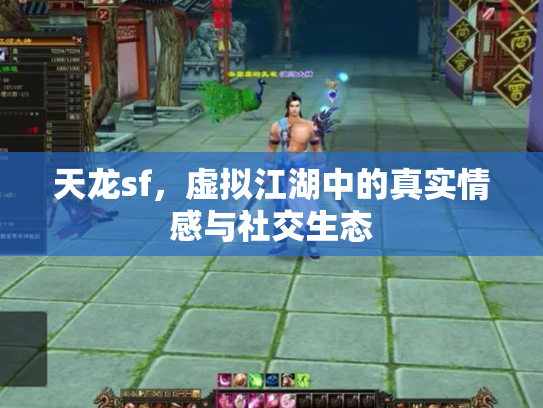 天龙sf，虚拟江湖中的真实情感与社交生态
