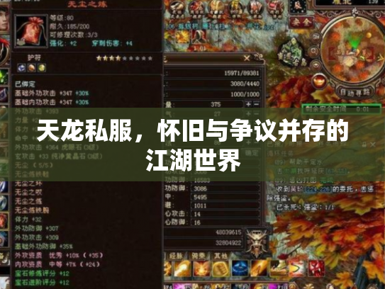 天龙私服，怀旧与争议并存的江湖世界