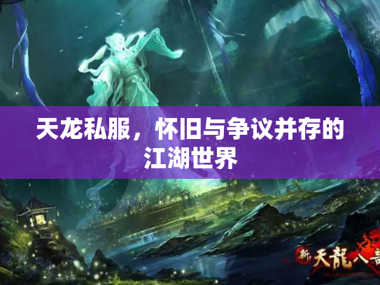 天龙私服，怀旧与争议并存的江湖世界