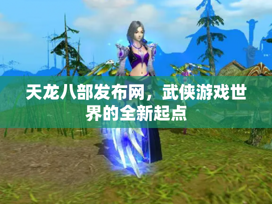 天龙八部发布网，武侠游戏世界的全新起点