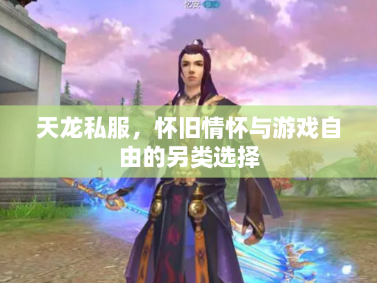 天龙私服，怀旧情怀与游戏自由的另类选择