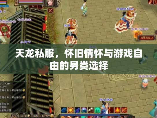 天龙私服，怀旧情怀与游戏自由的另类选择