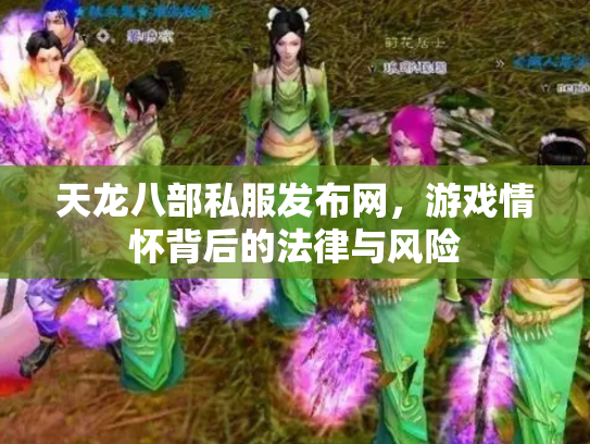 天龙八部私服发布网，游戏情怀背后的法律与风险