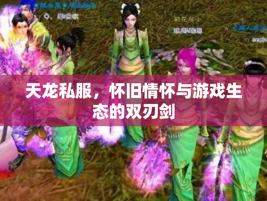 天龙私服，怀旧情怀与游戏生态的双刃剑