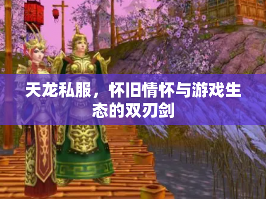 天龙私服，怀旧情怀与游戏生态的双刃剑