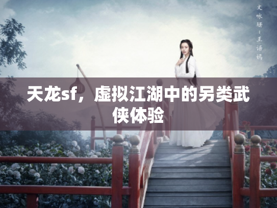 天龙sf，虚拟江湖中的另类武侠体验