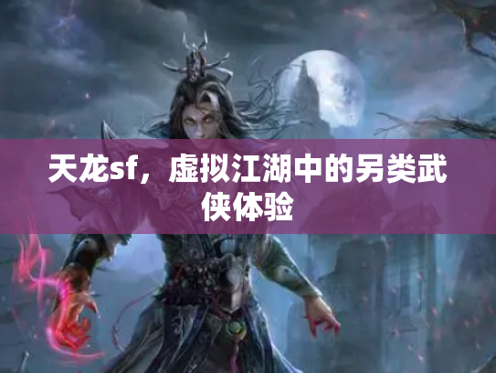 天龙sf，虚拟江湖中的另类武侠体验