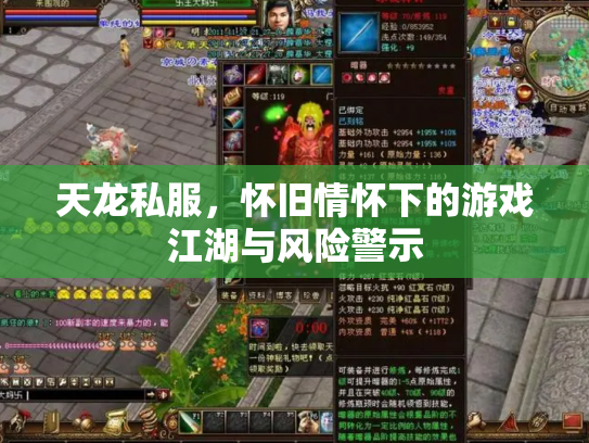 天龙私服，怀旧情怀下的游戏江湖与风险警示