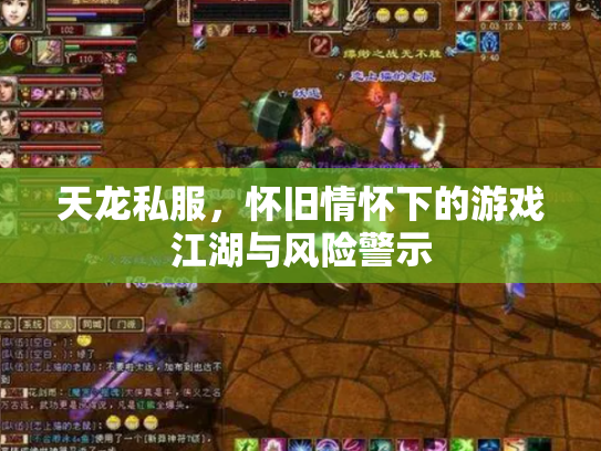 天龙私服，怀旧情怀下的游戏江湖与风险警示