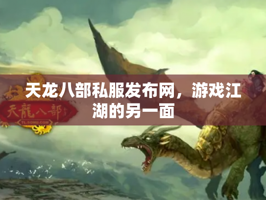 天龙八部私服发布网，游戏江湖的另一面