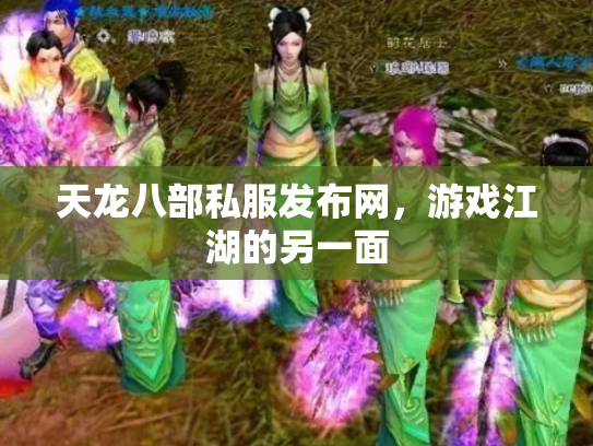 天龙八部私服发布网，游戏江湖的另一面