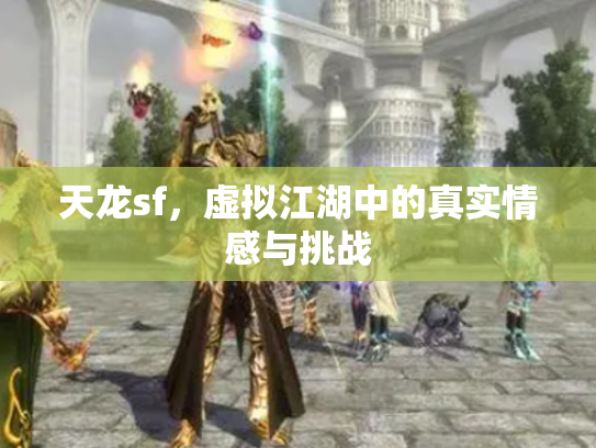 天龙sf，虚拟江湖中的真实情感与挑战