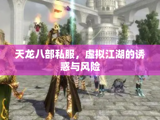 天龙八部私服，虚拟江湖的诱惑与风险