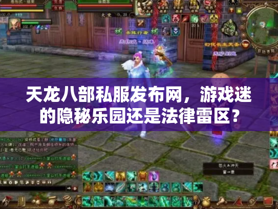 天龙八部私服发布网，游戏迷的隐秘乐园还是法律雷区？