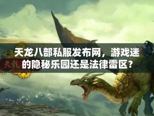 天龙八部私服发布网，游戏迷的隐秘乐园还是法律雷区？