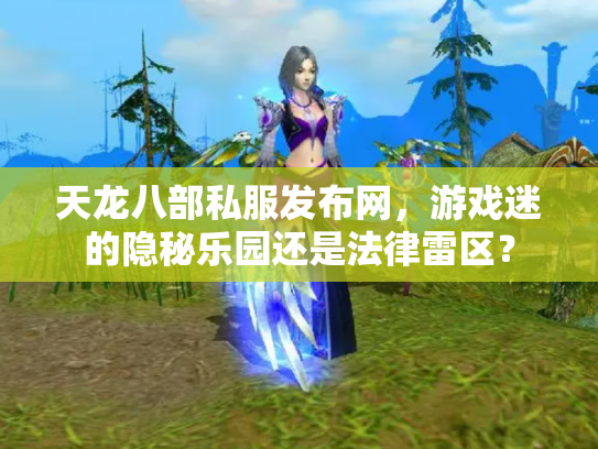 天龙八部私服发布网，游戏迷的隐秘乐园还是法律雷区？