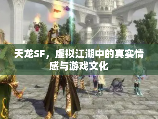 天龙SF，虚拟江湖中的真实情感与游戏文化