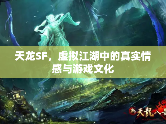 天龙SF，虚拟江湖中的真实情感与游戏文化