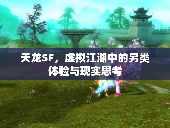 天龙SF，虚拟江湖中的另类体验与现实思考