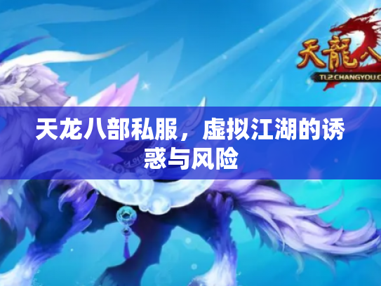 天龙八部私服，虚拟江湖的诱惑与风险