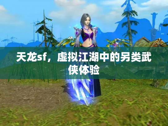 天龙sf，虚拟江湖中的另类武侠体验