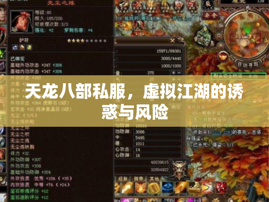 天龙八部私服，虚拟江湖的诱惑与风险