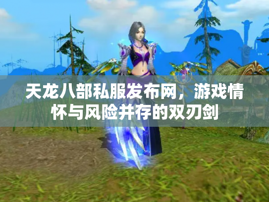 天龙八部私服发布网，游戏情怀与风险并存的双刃剑