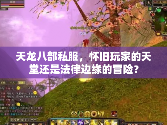 天龙八部私服，怀旧玩家的天堂还是法律边缘的冒险？