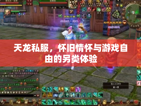 天龙私服，怀旧情怀与游戏自由的另类体验