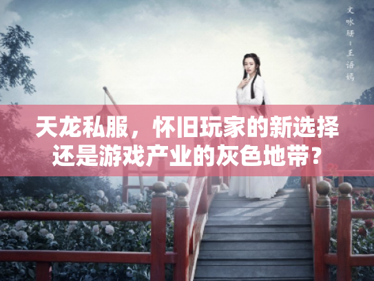 天龙私服，怀旧玩家的新选择还是游戏产业的灰色地带？