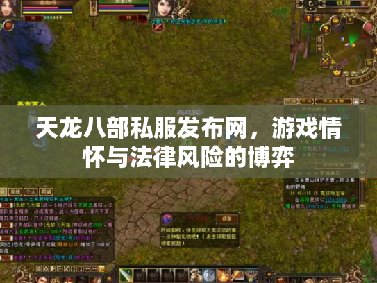 天龙八部私服发布网，游戏情怀与法律风险的博弈