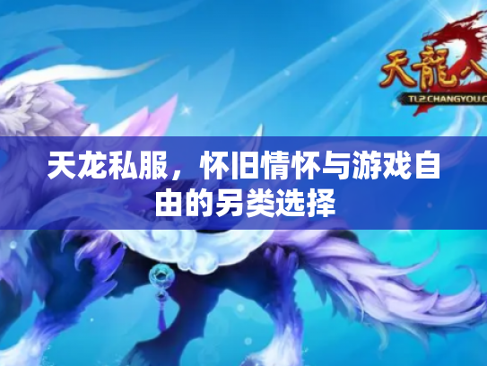 天龙私服，怀旧情怀与游戏自由的另类选择