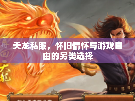 天龙私服，怀旧情怀与游戏自由的另类选择