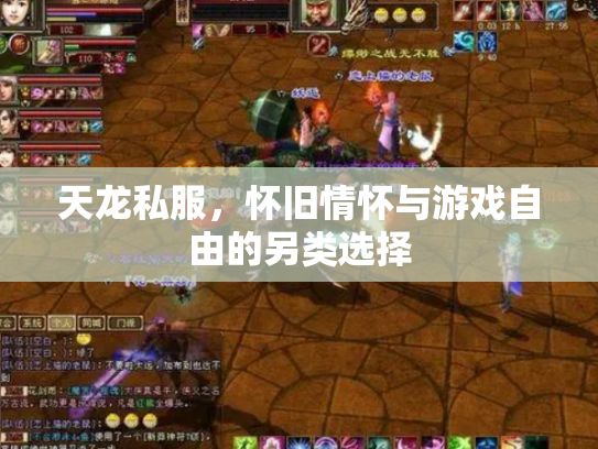 天龙私服，怀旧情怀与游戏自由的另类选择
