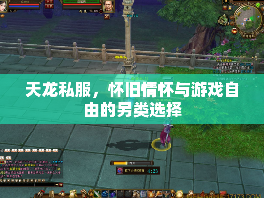 天龙私服，怀旧情怀与游戏自由的另类选择