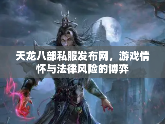 天龙八部私服发布网，游戏情怀与法律风险的博弈