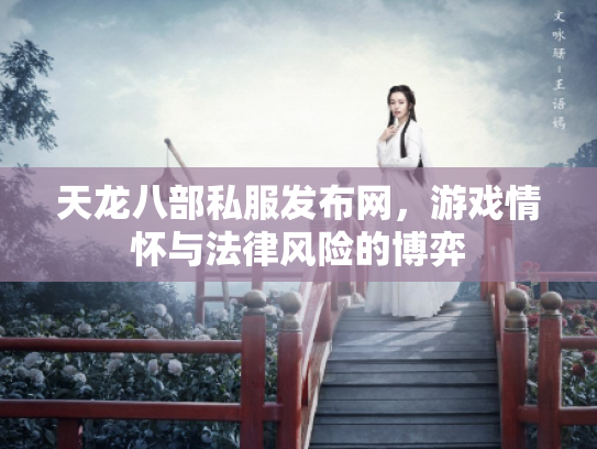 天龙八部私服发布网，游戏情怀与法律风险的博弈