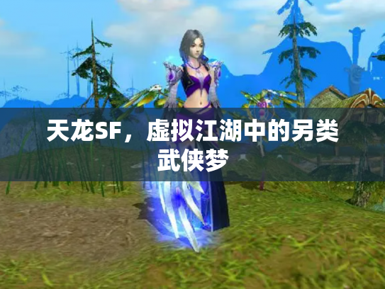 天龙SF，虚拟江湖中的另类武侠梦