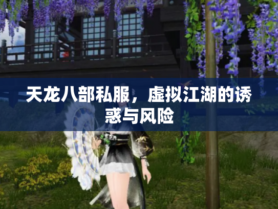 天龙八部私服，虚拟江湖的诱惑与风险