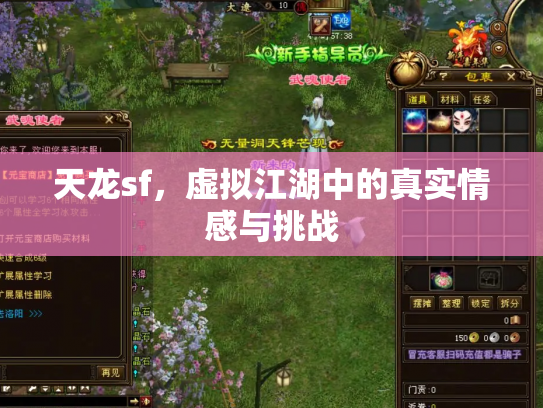 天龙sf，虚拟江湖中的真实情感与挑战