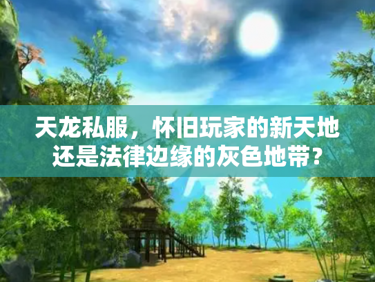 天龙私服，怀旧玩家的新天地还是法律边缘的灰色地带？