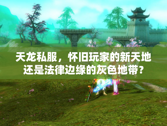 天龙私服，怀旧玩家的新天地还是法律边缘的灰色地带？