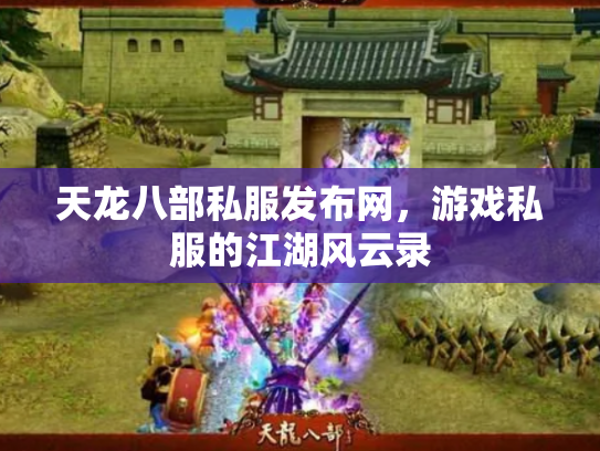 天龙八部私服发布网，游戏私服的江湖风云录