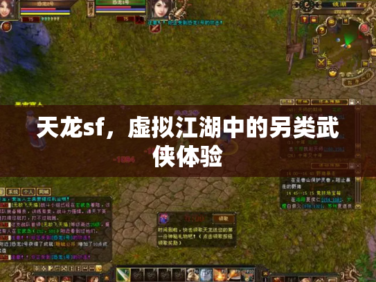 天龙sf，虚拟江湖中的另类武侠体验
