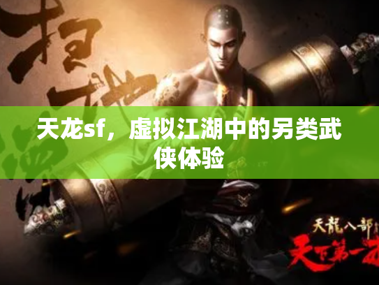 天龙sf，虚拟江湖中的另类武侠体验