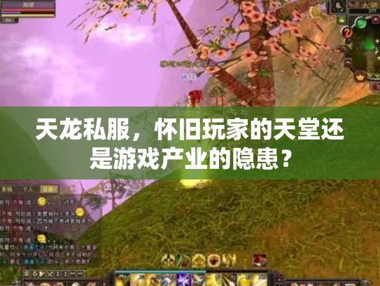 天龙私服，怀旧玩家的天堂还是游戏产业的隐患？