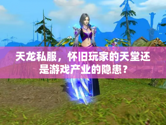 天龙私服，怀旧玩家的天堂还是游戏产业的隐患？